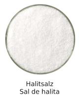 Halitsalz